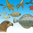 Illustrationer til 'Systematik - hvirveldyr' i serien 'ind i biologien' for Forlaget Alinea